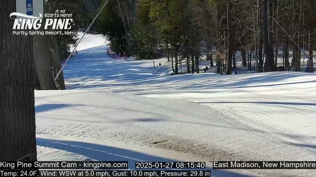 A snow-covered ski slope winds through a forest of leafless trees on a sunny day.