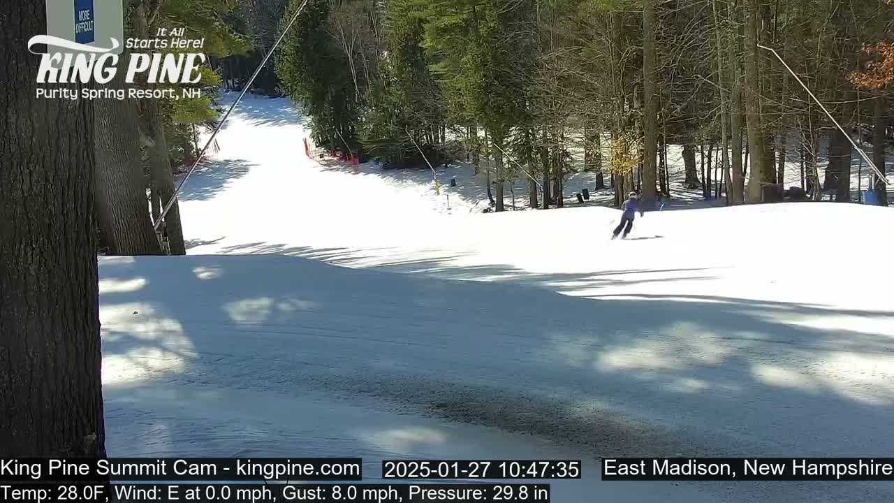 A skier descends a snow-covered slope on a sunny day in a wooded area.