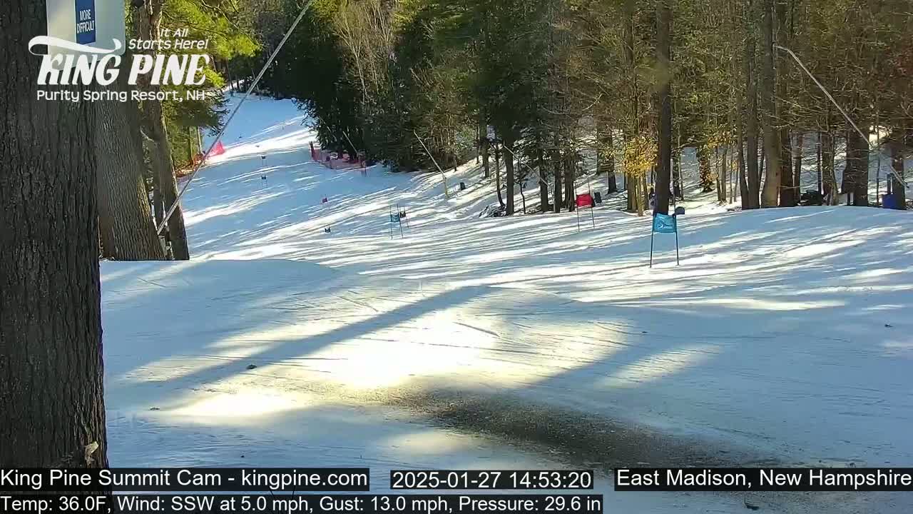 A sunny snow-covered ski slope descends through a wooded area.