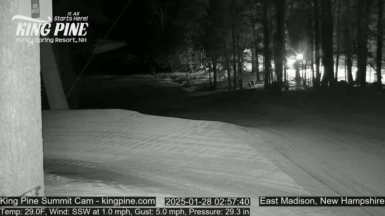 A snow-covered slope at night, illuminated by distant lights through a stand of dark trees.