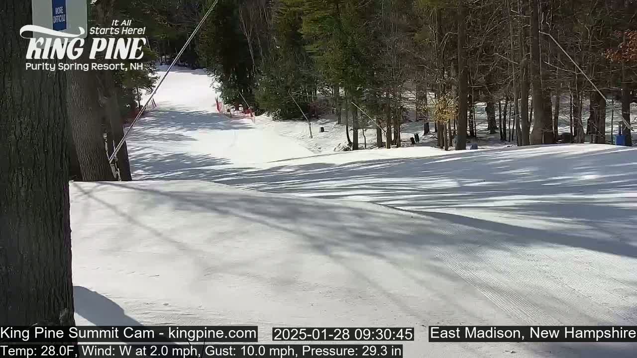 A snow-covered ski slope descends into a wooded area under a sunny sky.