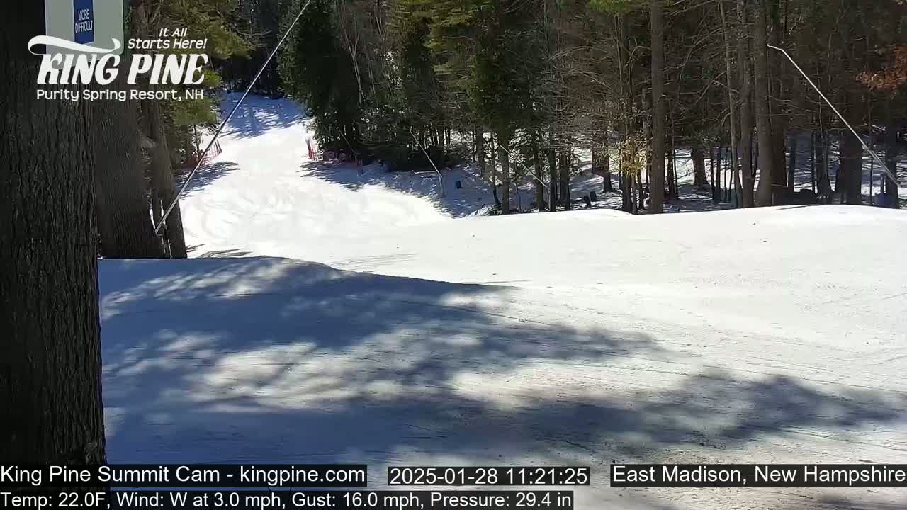A sunny snow-covered ski slope is visible, with trees lining the background.