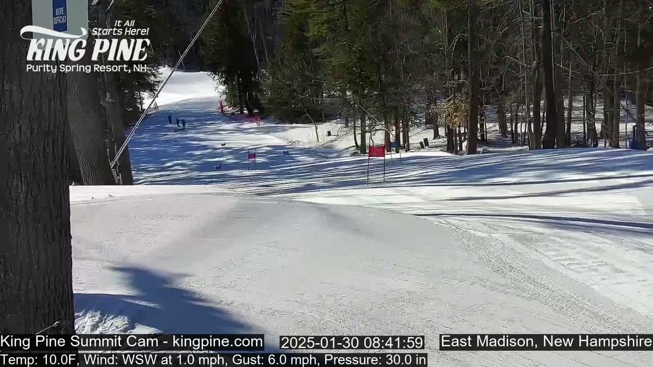 A snow-covered ski slope winds through a sunny, wooded area with several skiers visible.