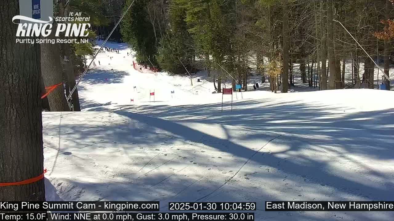 A snow-covered ski slope winds through a sunny, wooded area.