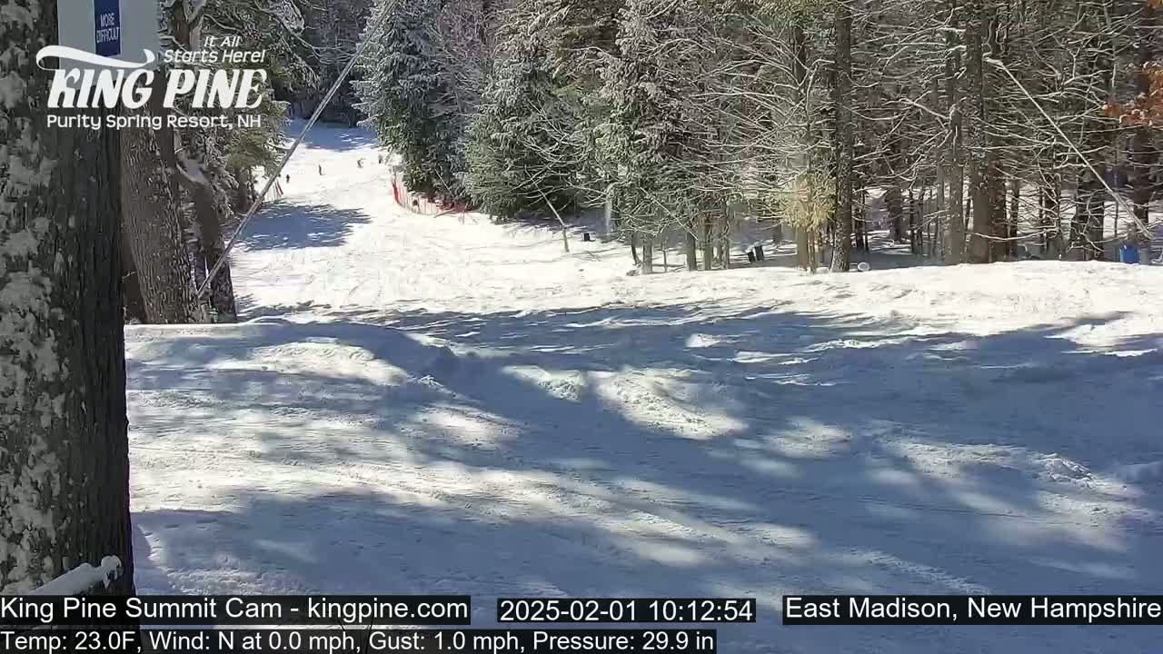 A snow-covered ski slope winds through a sunny, snow-dusted forest.