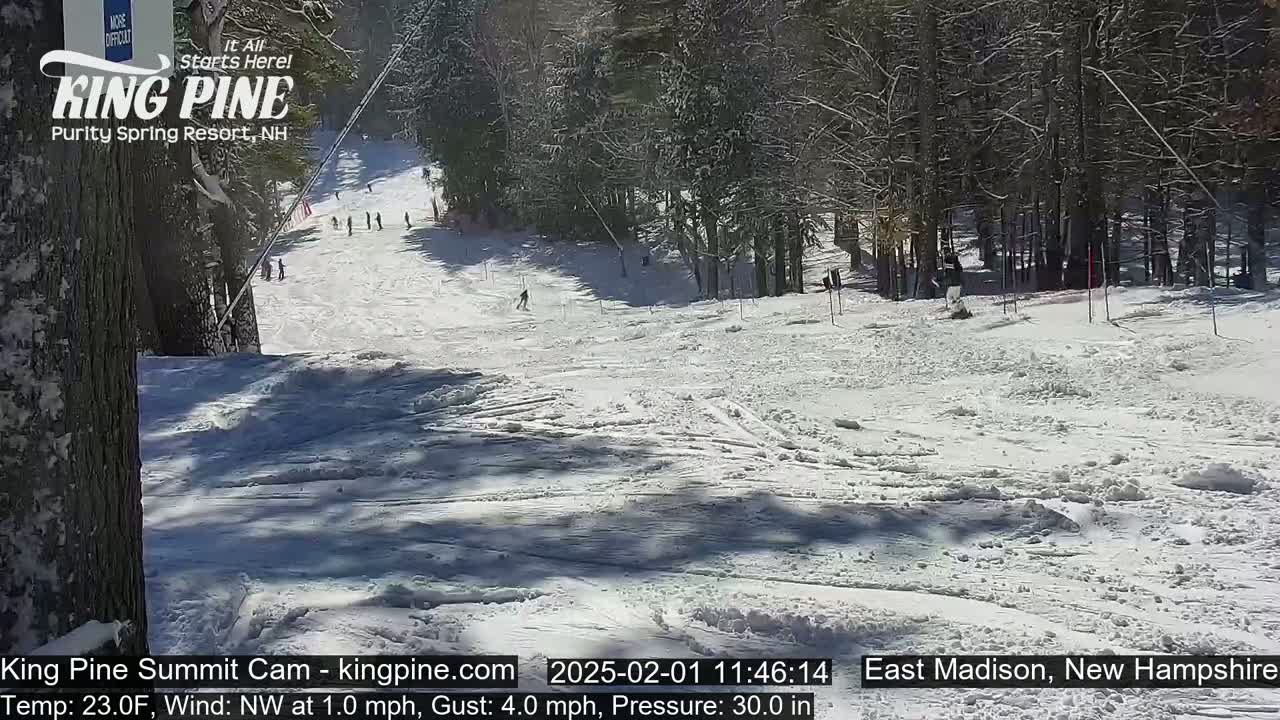 A snow-covered ski slope with several skiers visible, surrounded by snow-laden trees under a sunny sky.