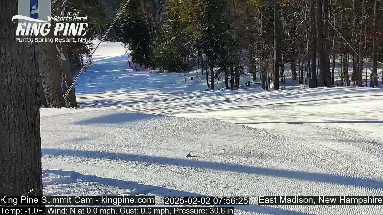A snow-covered ski slope on a sunny day with calm winds is visible among a stand of leafless trees.