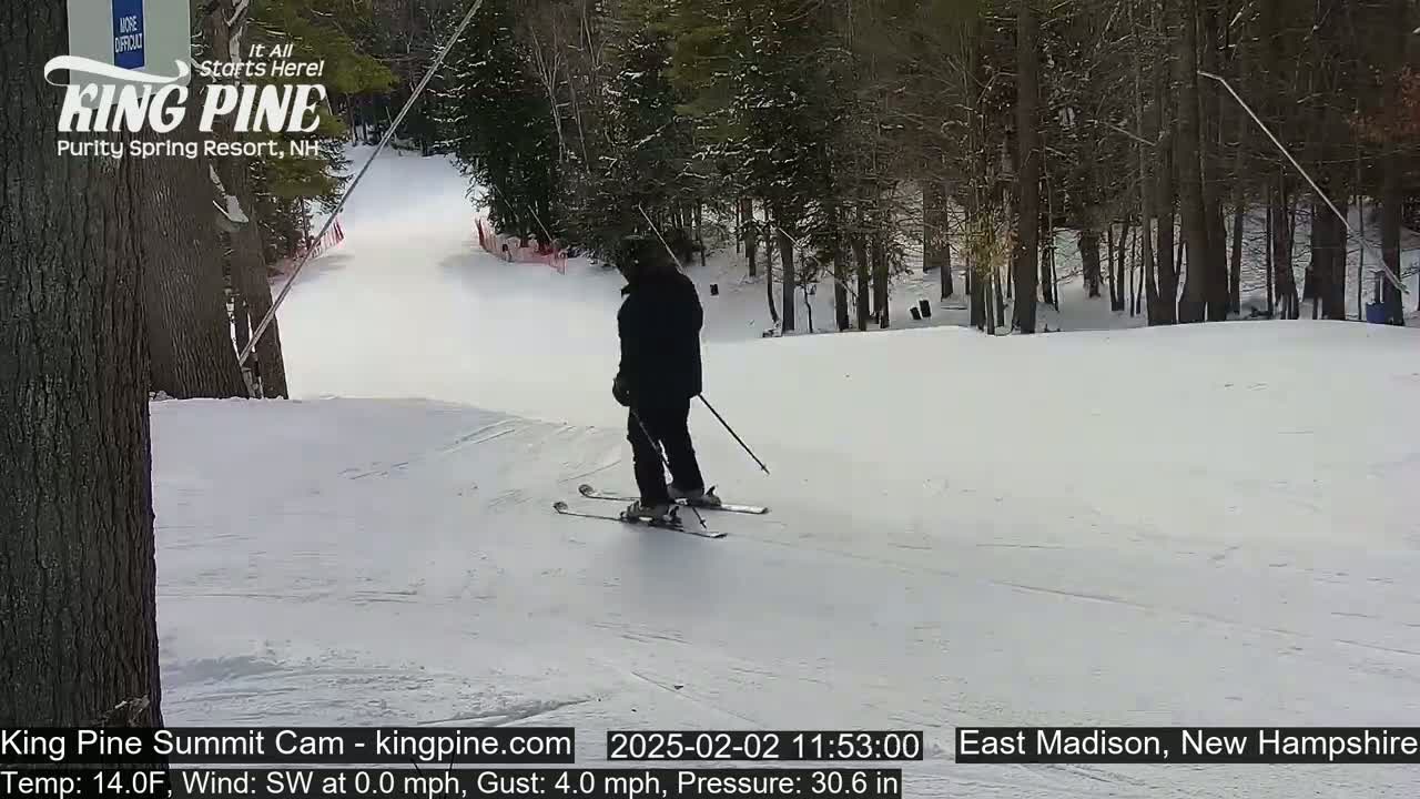A skier descends a snow-covered slope in a wooded area on a partly cloudy day.
