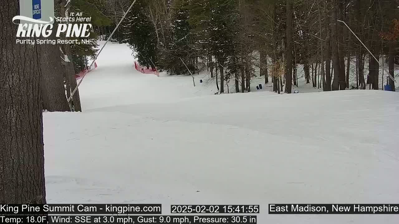 A snow-covered ski slope winds through a stand of bare trees under a cloudy sky.