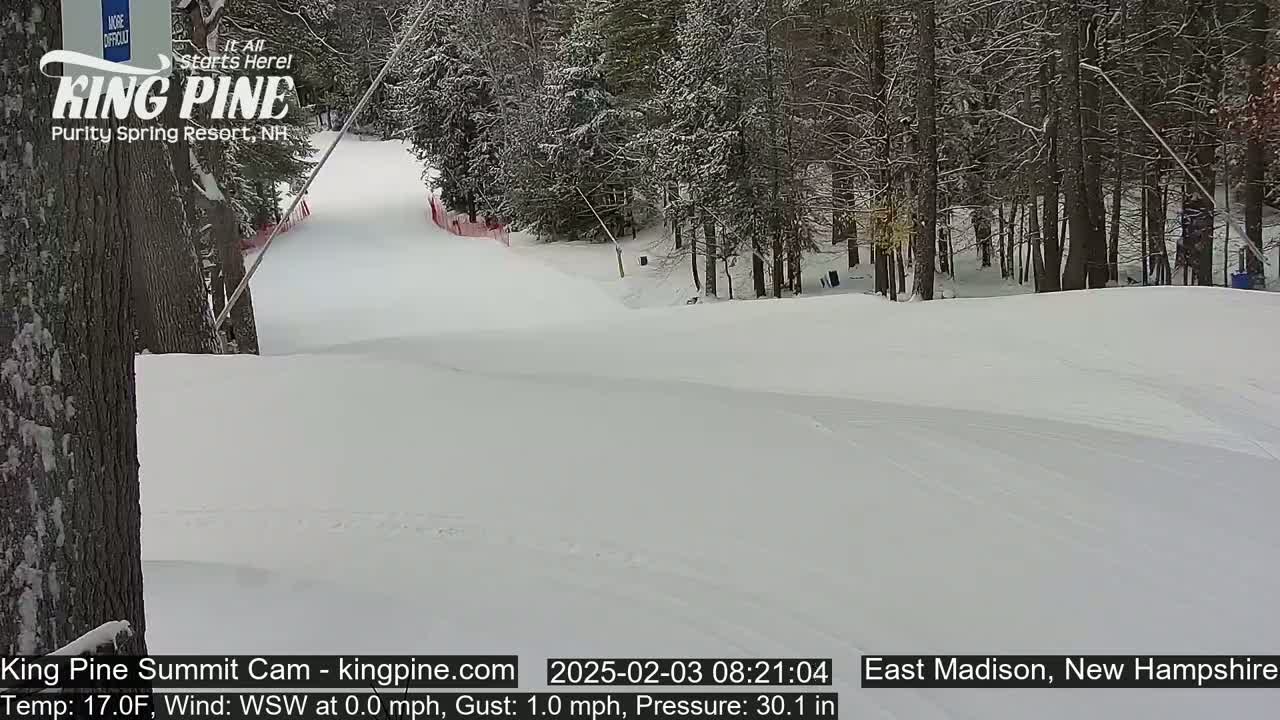 A snow-covered ski slope winds through a sparsely wooded area under a cloudy sky.