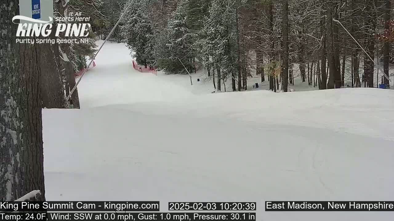A snow-covered ski slope is visible, with a snow-covered forest in the background under a lightly snowing sky.