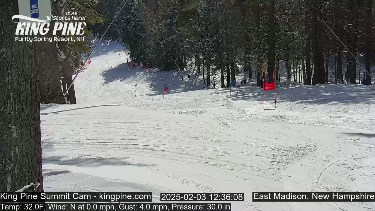 A snow-covered ski slope on a sunny day with several trees lining the sides, showing some skiers in the distance.