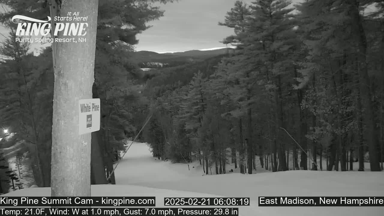 A snow-covered ski slope winds through a pine forest under a twilight sky.