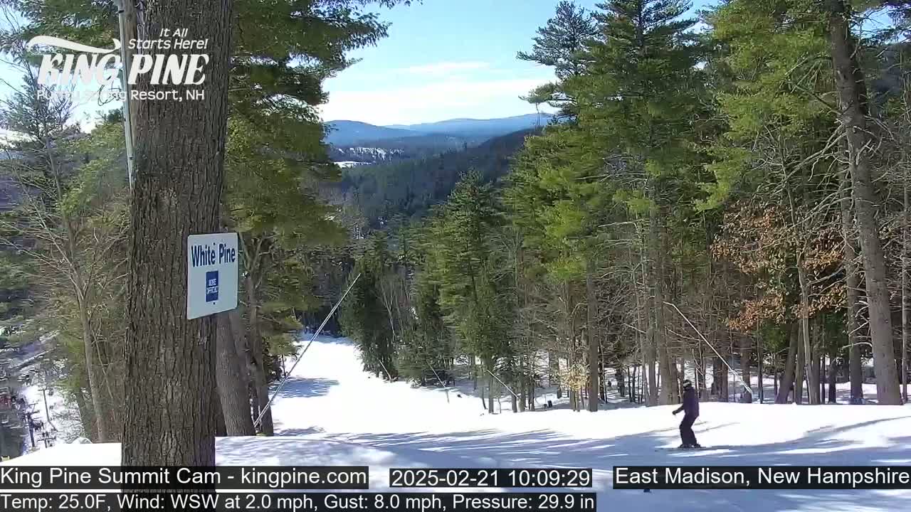 A snowy ski slope winds through a pine forest on a sunny day with a light wind.
