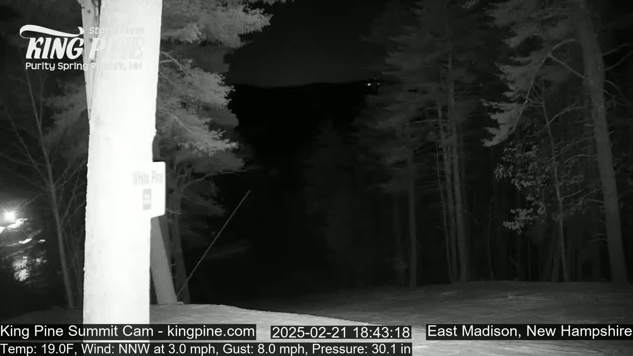 A nighttime view of a snow-covered forest with a partially visible building and a faint light in the distance, under a dark sky with a north-northwest wind.