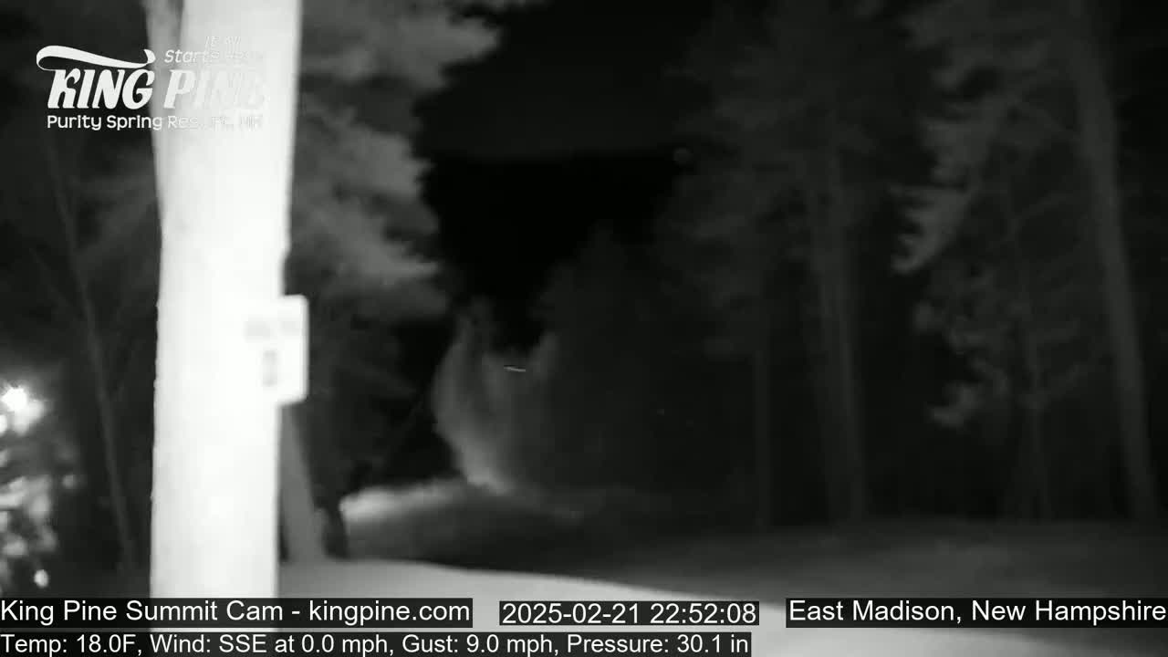 A nighttime, snowy scene shows a blurry object moving through a wooded area under a dark sky.