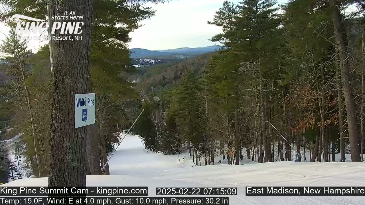 A snow-covered ski slope descends through a stand of evergreen trees under a mostly clear sky.