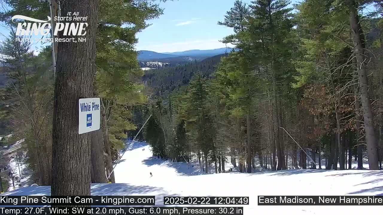A snow-covered ski slope in a pine forest on a sunny day with a light southwest wind.