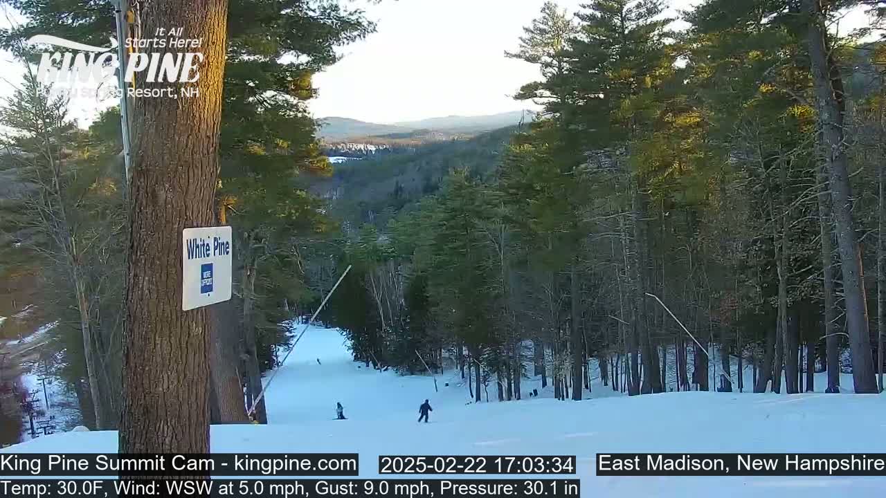 A snow-covered ski slope is visible, surrounded by a pine forest under a clear, twilight sky, with several skiers present.