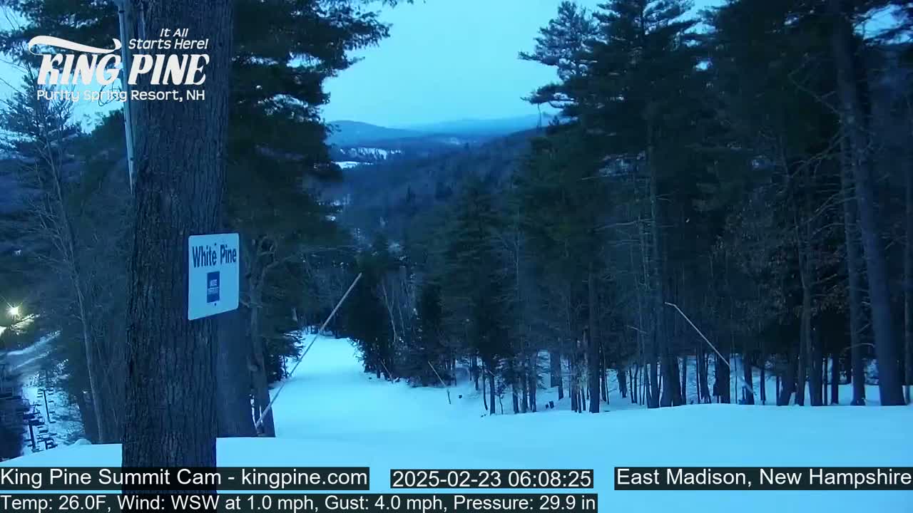 A snow-covered ski slope in a pine forest at twilight.