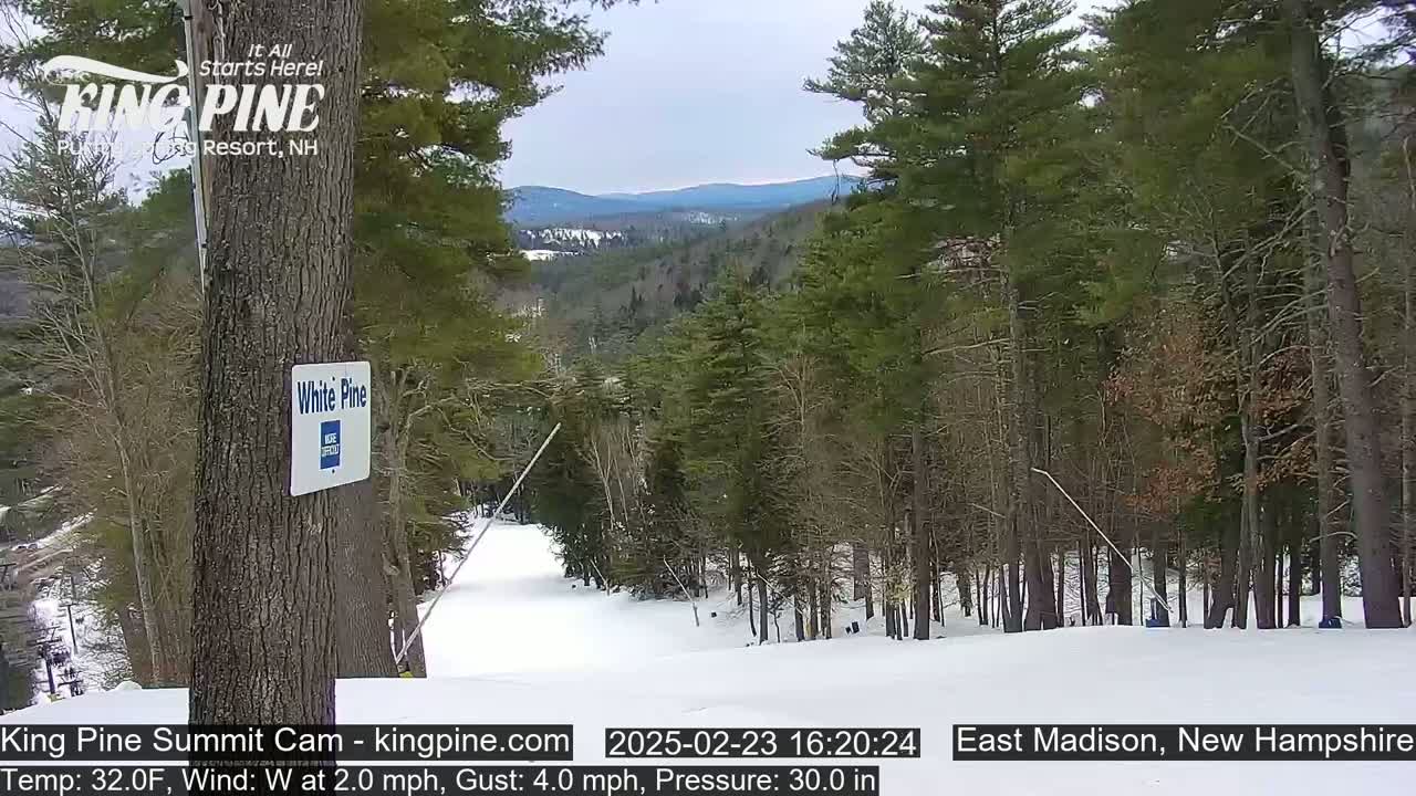 A snowy ski slope is visible between evergreen trees, with a partly cloudy sky and distant mountains in the background.