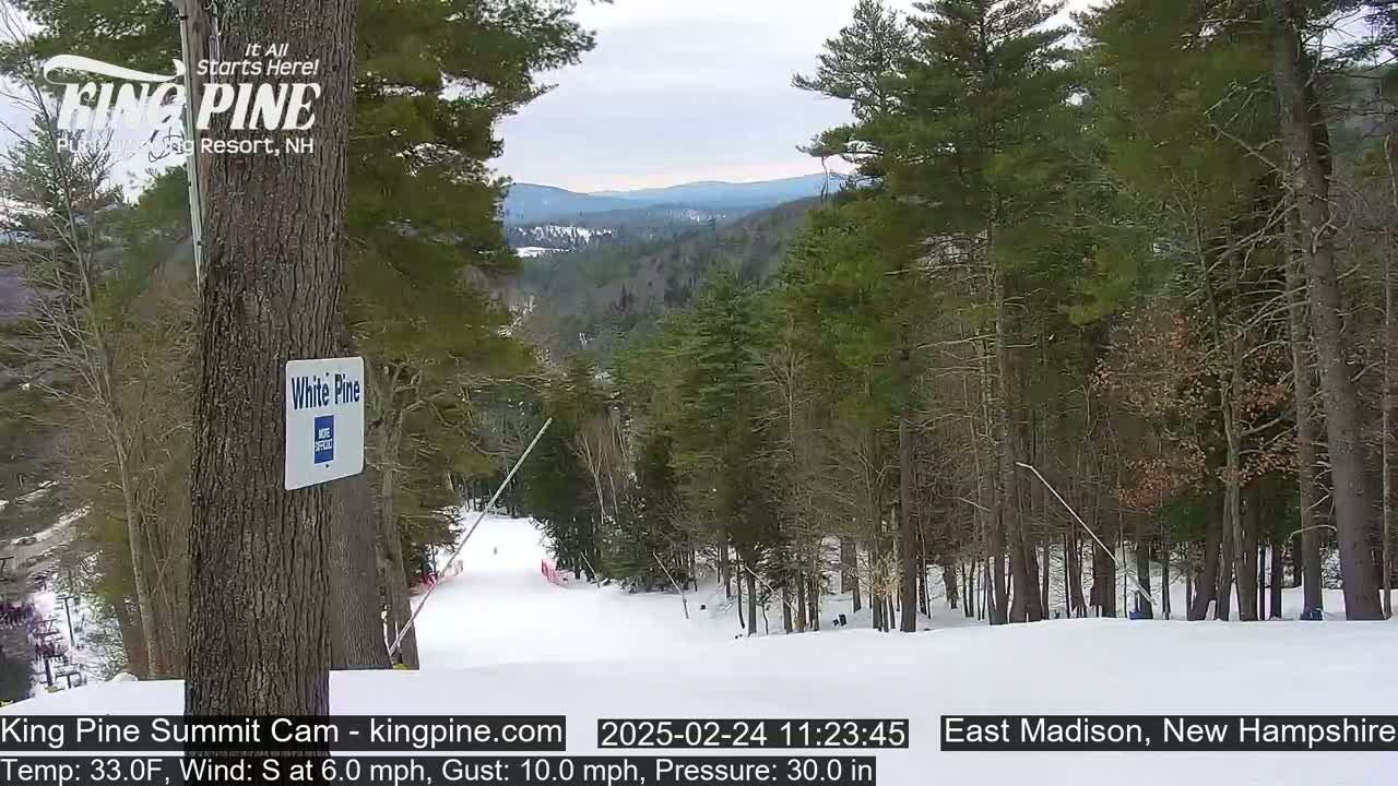 A snowy ski slope descends through a forest of pine trees under a cloudy sky.