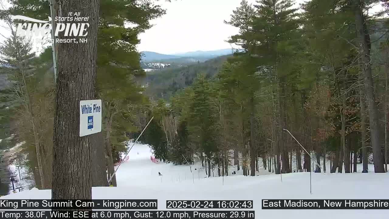 A snowy ski slope is visible through a stand of pine trees under a mostly cloudy sky.