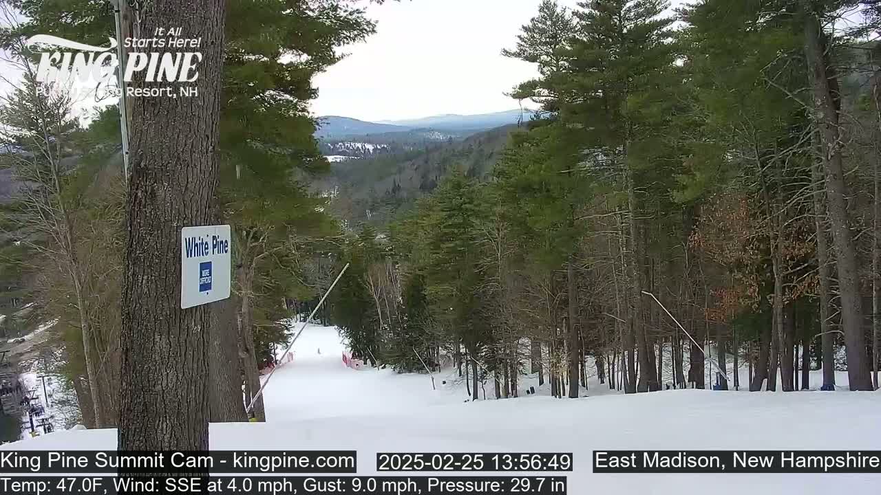 A snowy ski slope winds through a pine forest under a partly cloudy sky.