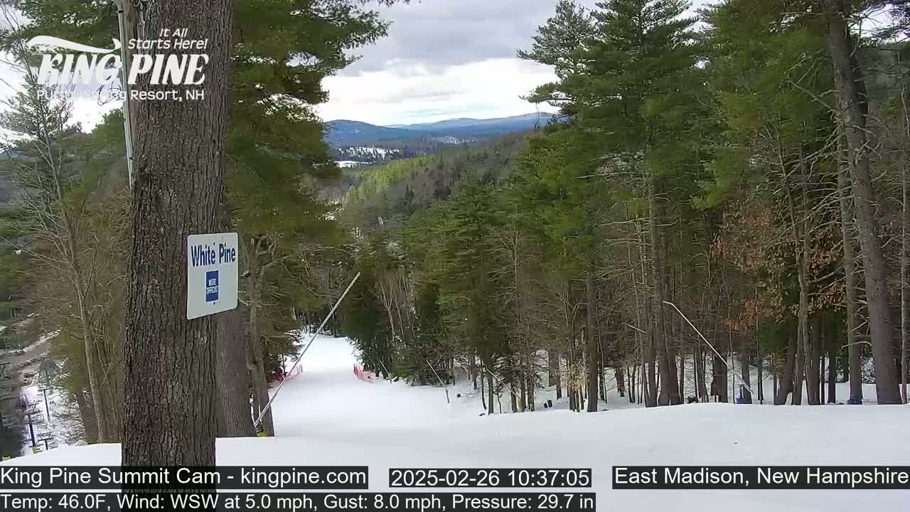 A snow-covered ski slope winds through a forest of evergreens under an overcast sky.