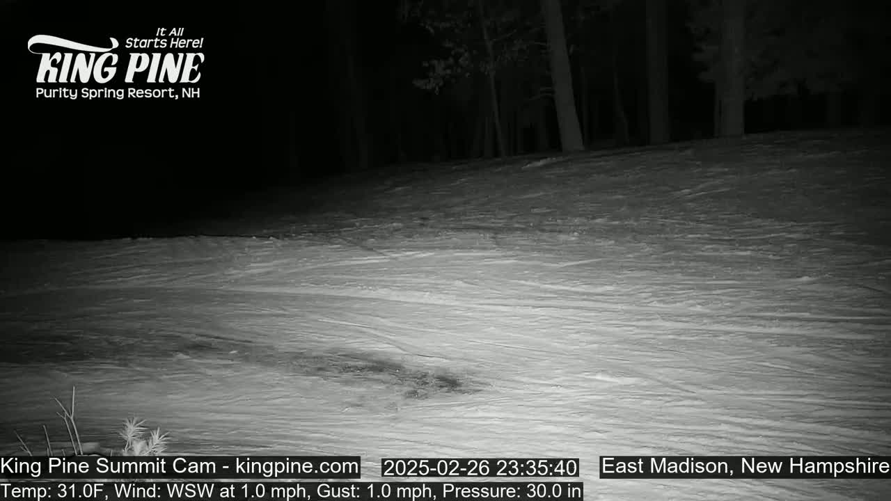 A snow-covered slope at night, under a dark sky, with trees in the background.