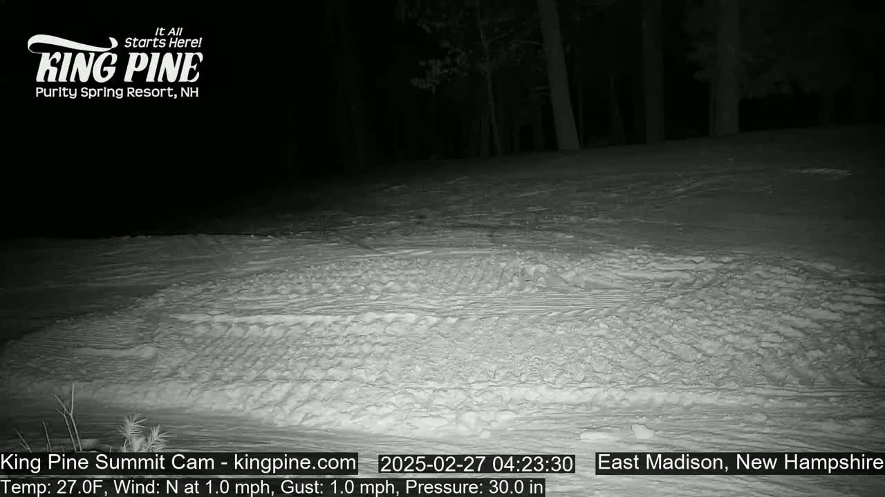 A snow-covered ground at night, under a dark sky, is illuminated by a dim light source showing tire tracks in the snow.