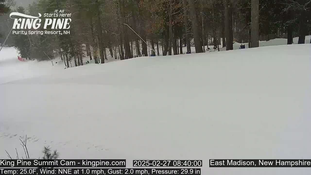 A snow-covered slope is seen with a line of bare trees in the background under overcast skies.