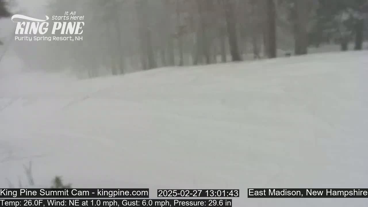 A snow-covered landscape with trees in the background during a heavy snowfall.