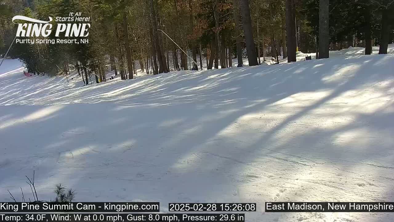 A snow-covered ski slope in a sunny wooded area.