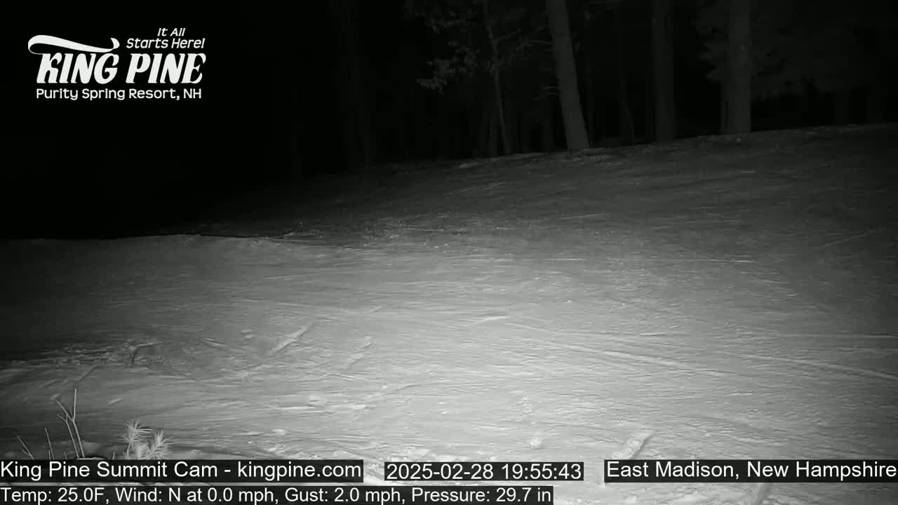 A snow-covered landscape at night is illuminated by a low-light camera, with dark trees in the background under a clear sky.
