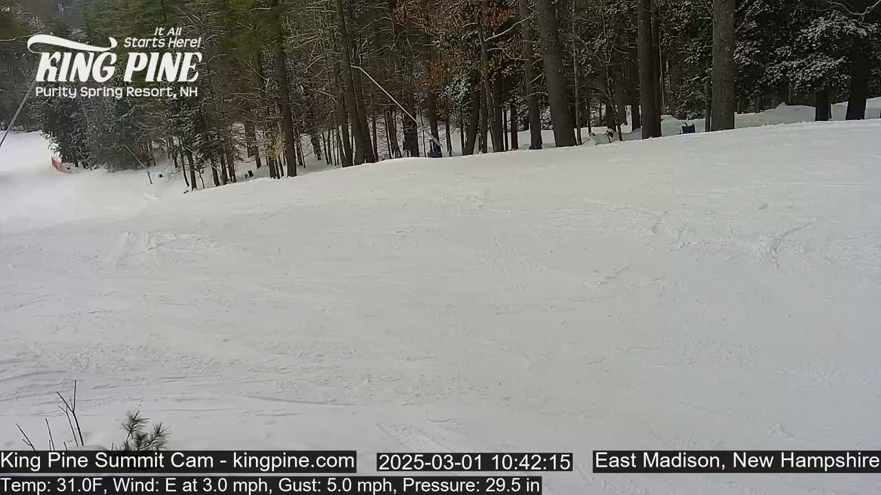 A snow-covered ski slope is visible, with a sparsely populated forest in the background under a lightly overcast sky.