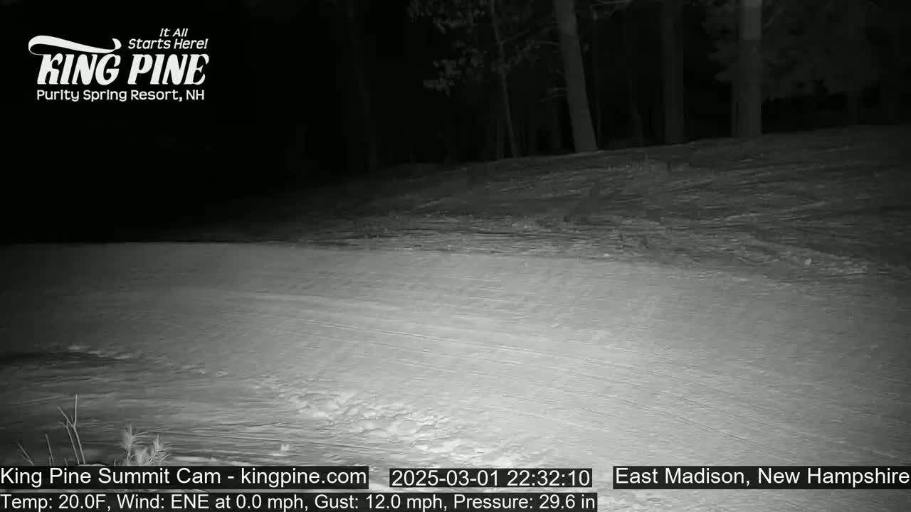 A snow-covered area at night, illuminated by a camera's infrared light, with a dark forest in the background under a clear sky.