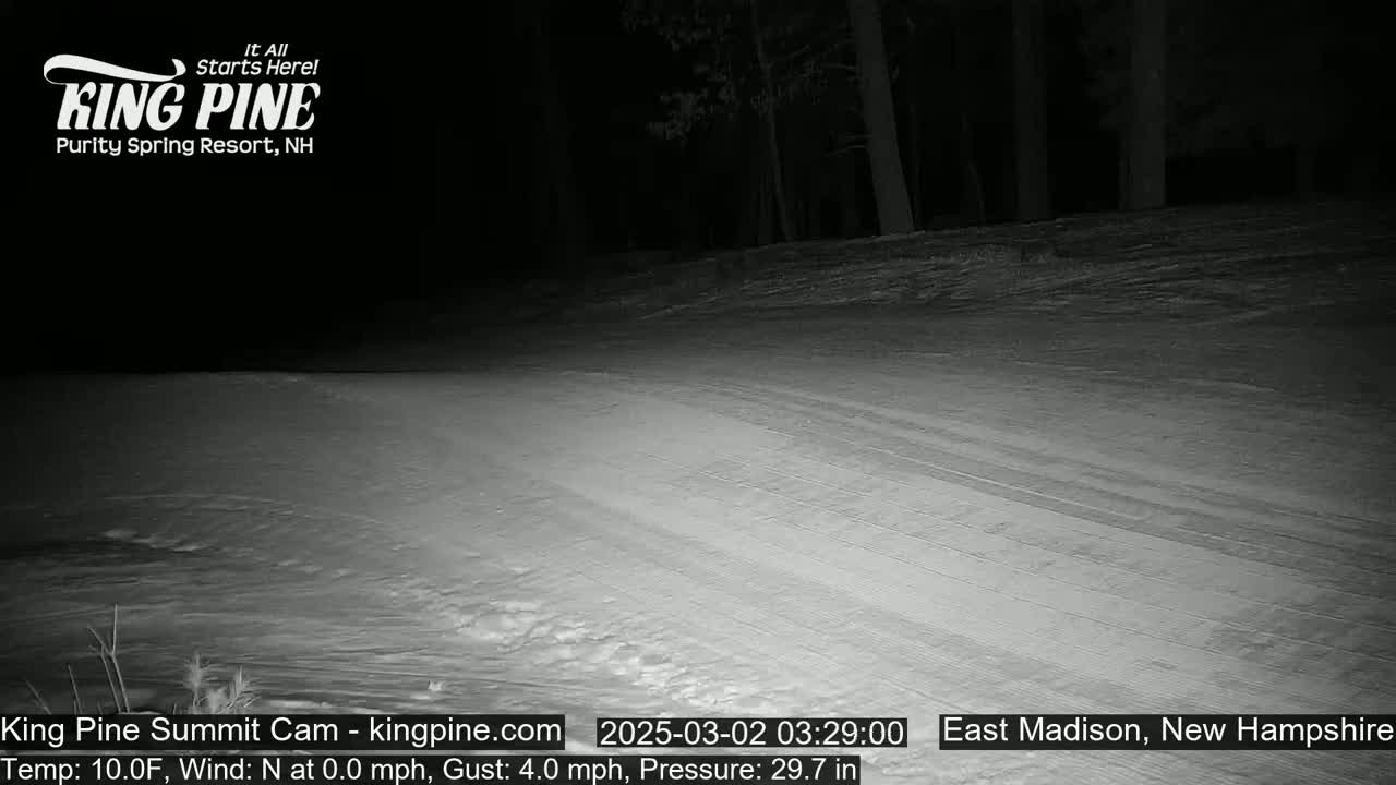 A snow-covered, sloped area at night is illuminated by an artificial light source, with trees visible in the background under dark nighttime conditions.
