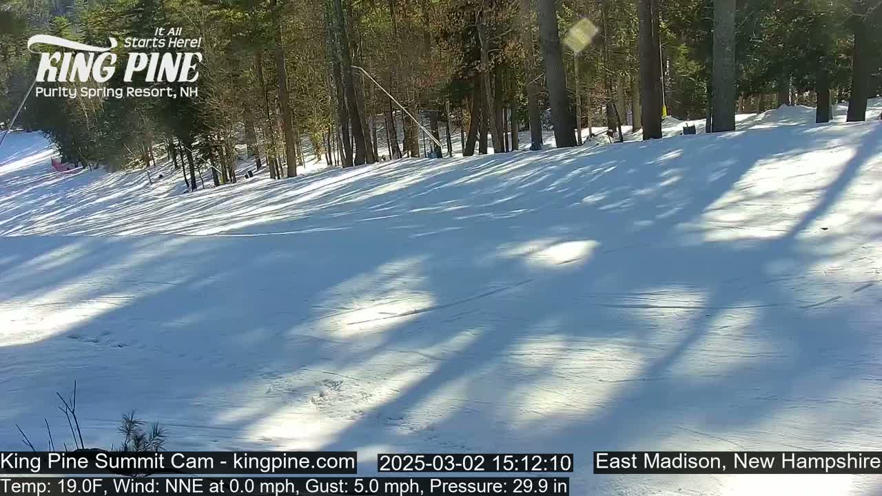 A sunny snow-covered slope in a wooded area.