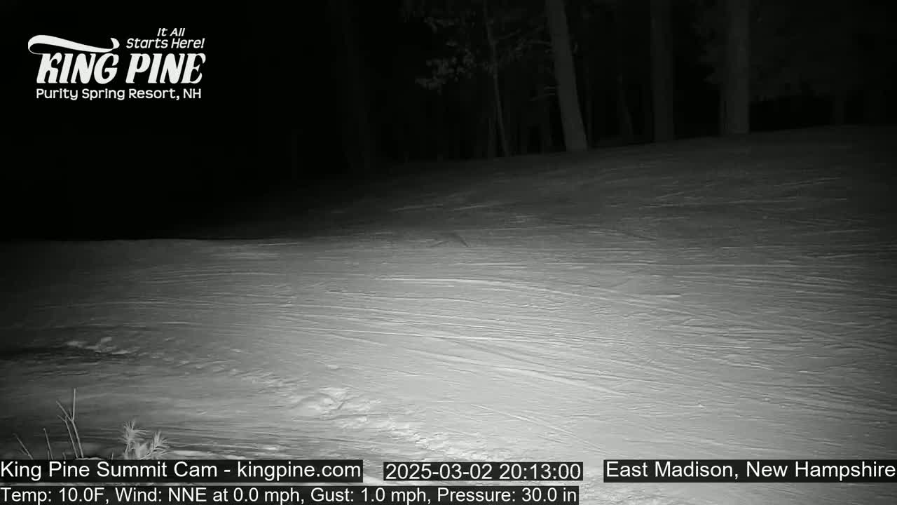 A snow-covered landscape is visible at night, illuminated by a light source, with a dark forest in the background under a clear sky.