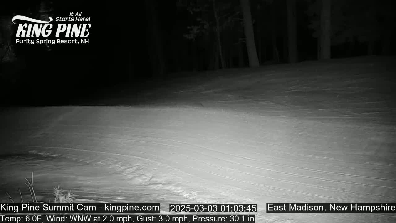 A nighttime, snow-covered slope is visible, with a dark forest in the background under a clear sky.