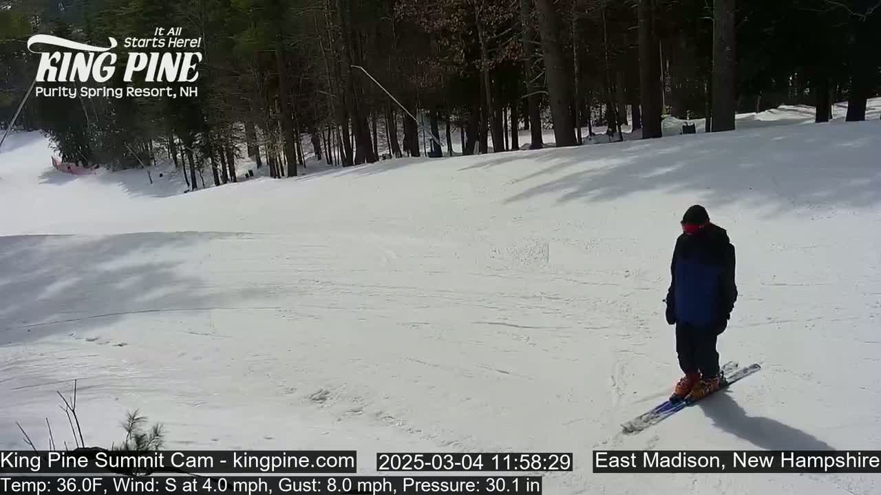 A person skis down a snow-covered slope on a sunny day with a south wind of 4 mph and gusts up to 8 mph.