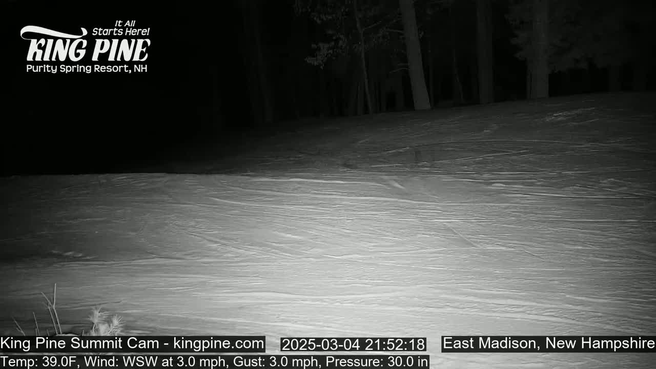 A nighttime view of a snow-covered slope with a dark forest in the background under a clear sky.