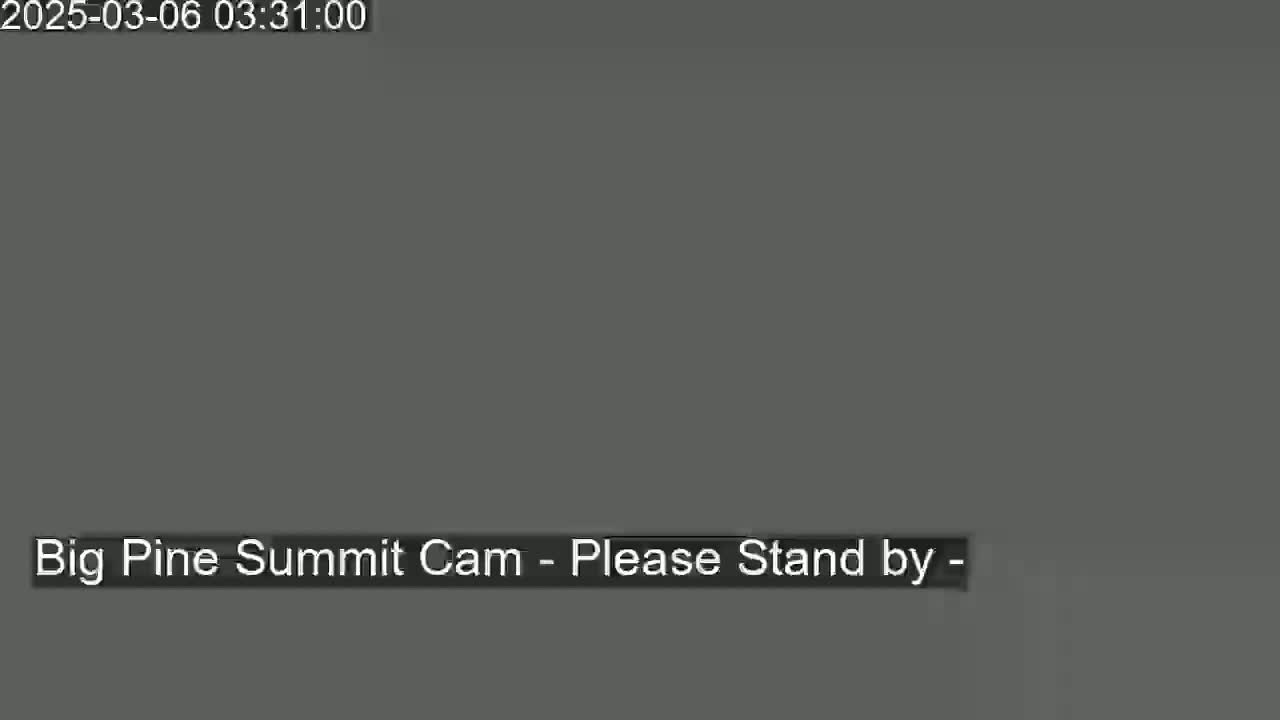 The image shows a solid gray screen.