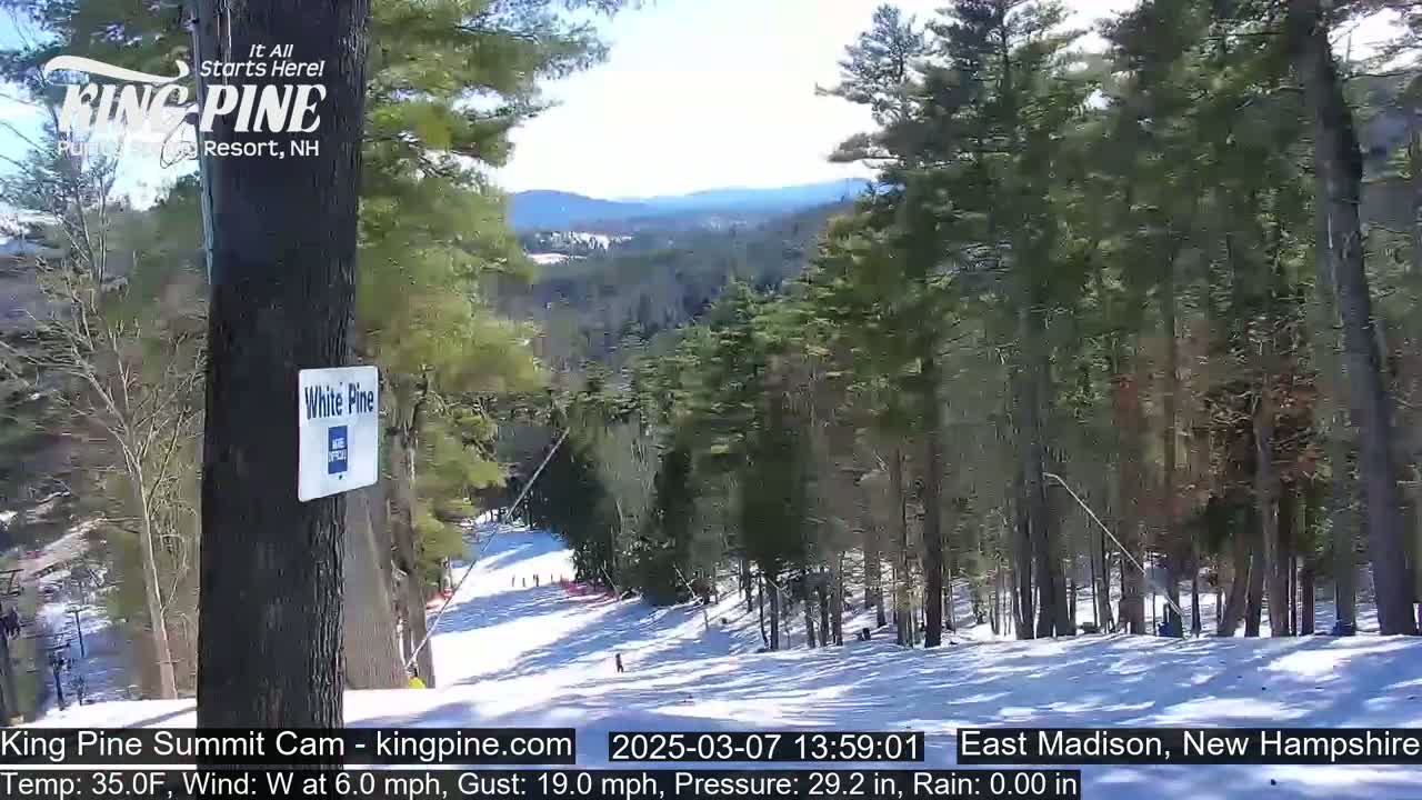 A snowy ski slope descends through a pine forest on a partly sunny day with a westerly wind.