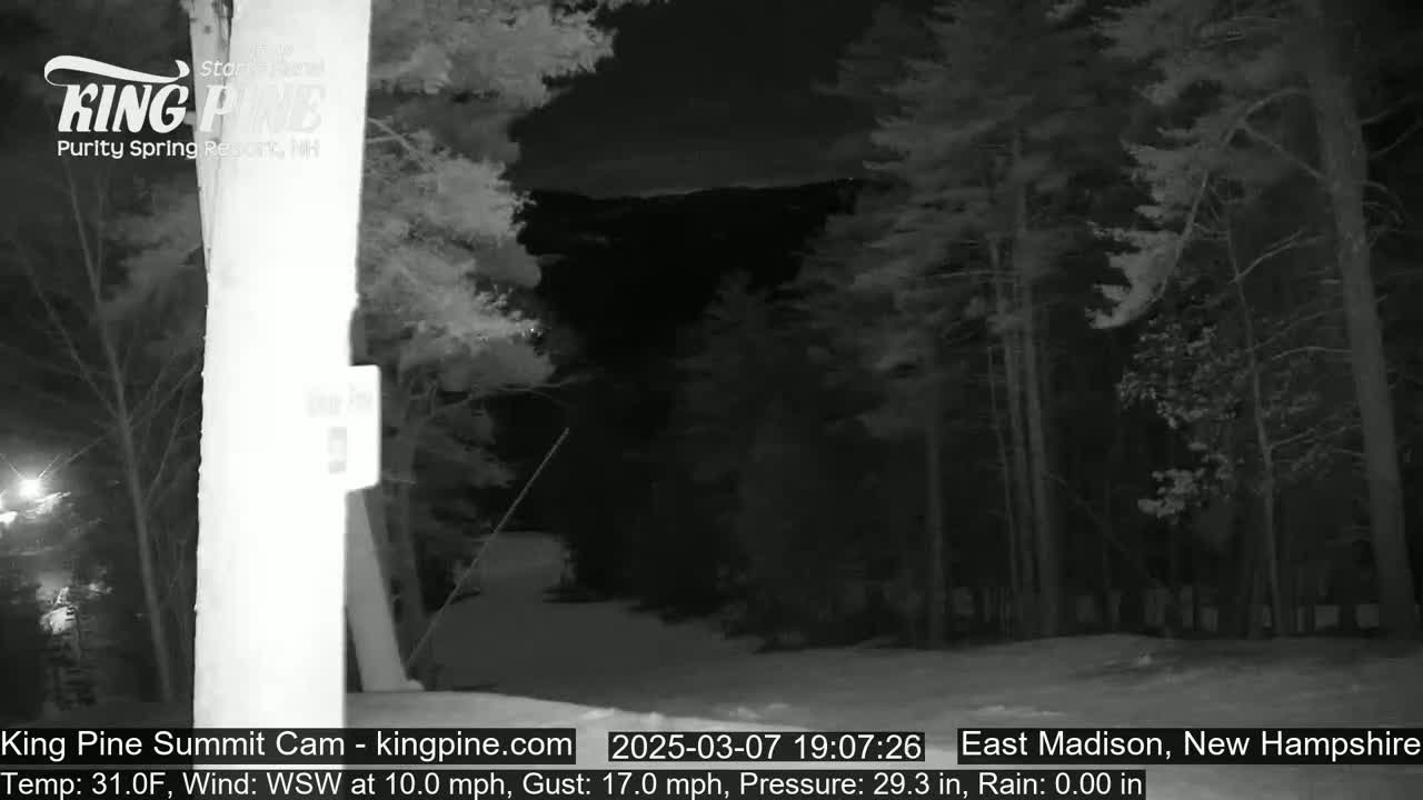 A nighttime view of a snow-covered road through a dark forest under a mostly clear sky.
