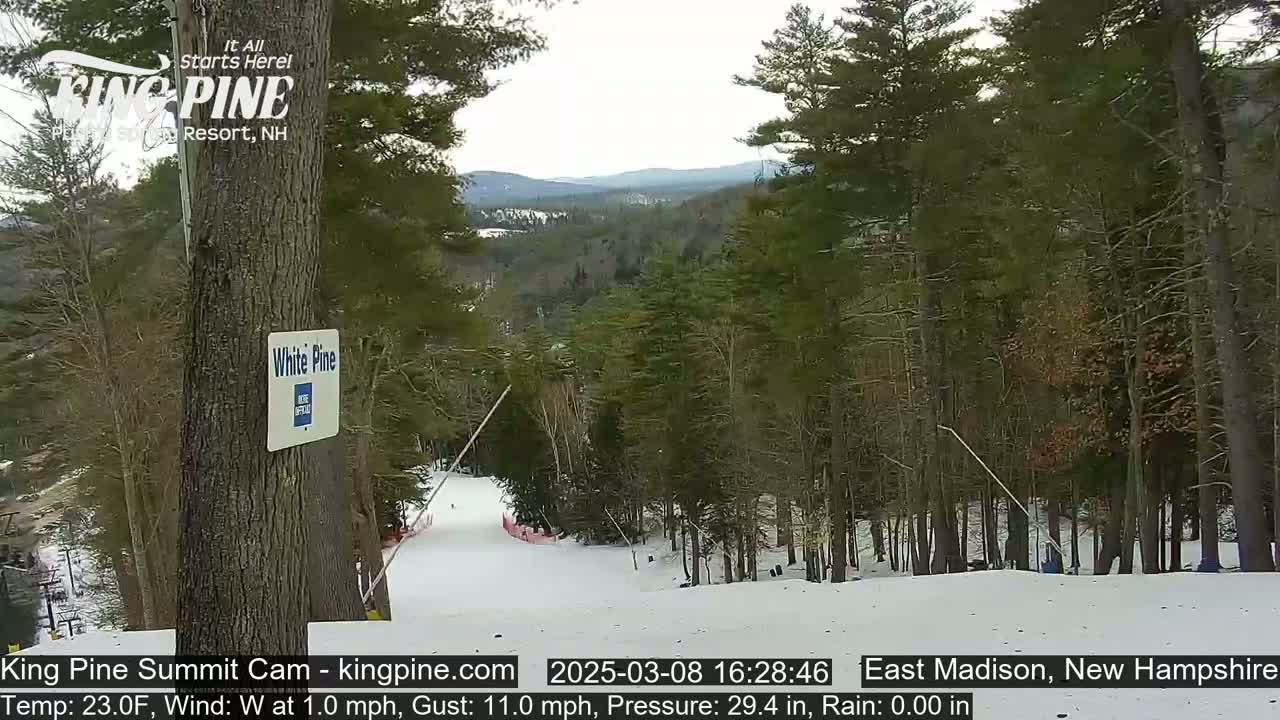 A snow-covered ski slope descends into a forest of evergreens under a mostly cloudy sky.