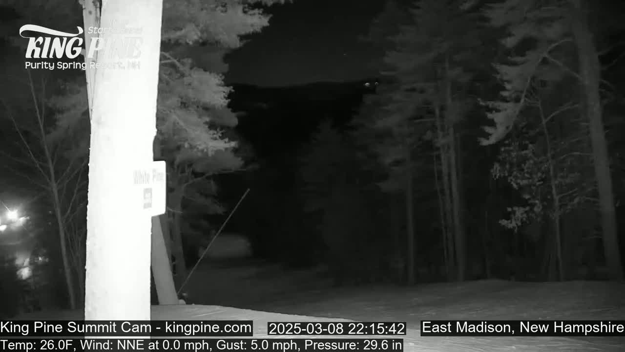 A nighttime view of a snow-covered area in a wooded location under a dark sky with a slight wind.