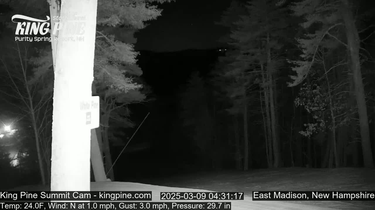 A nighttime view of a snow-covered forest with a light north wind.