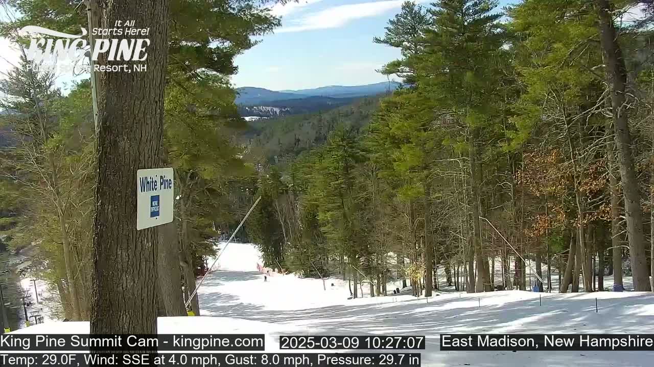A snowy ski slope winds through a pine forest under a partly sunny sky, with distant mountains visible in the background.